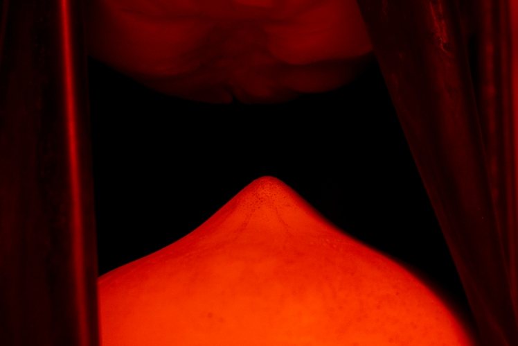 Cam To Cam, Collectif In Extremis, photo 6
