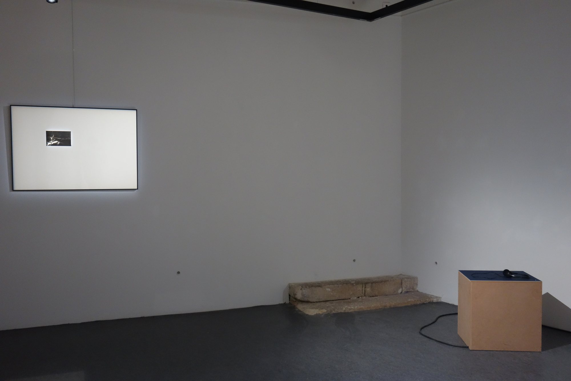 Echoforme, Collectif In Extremis, photo 1