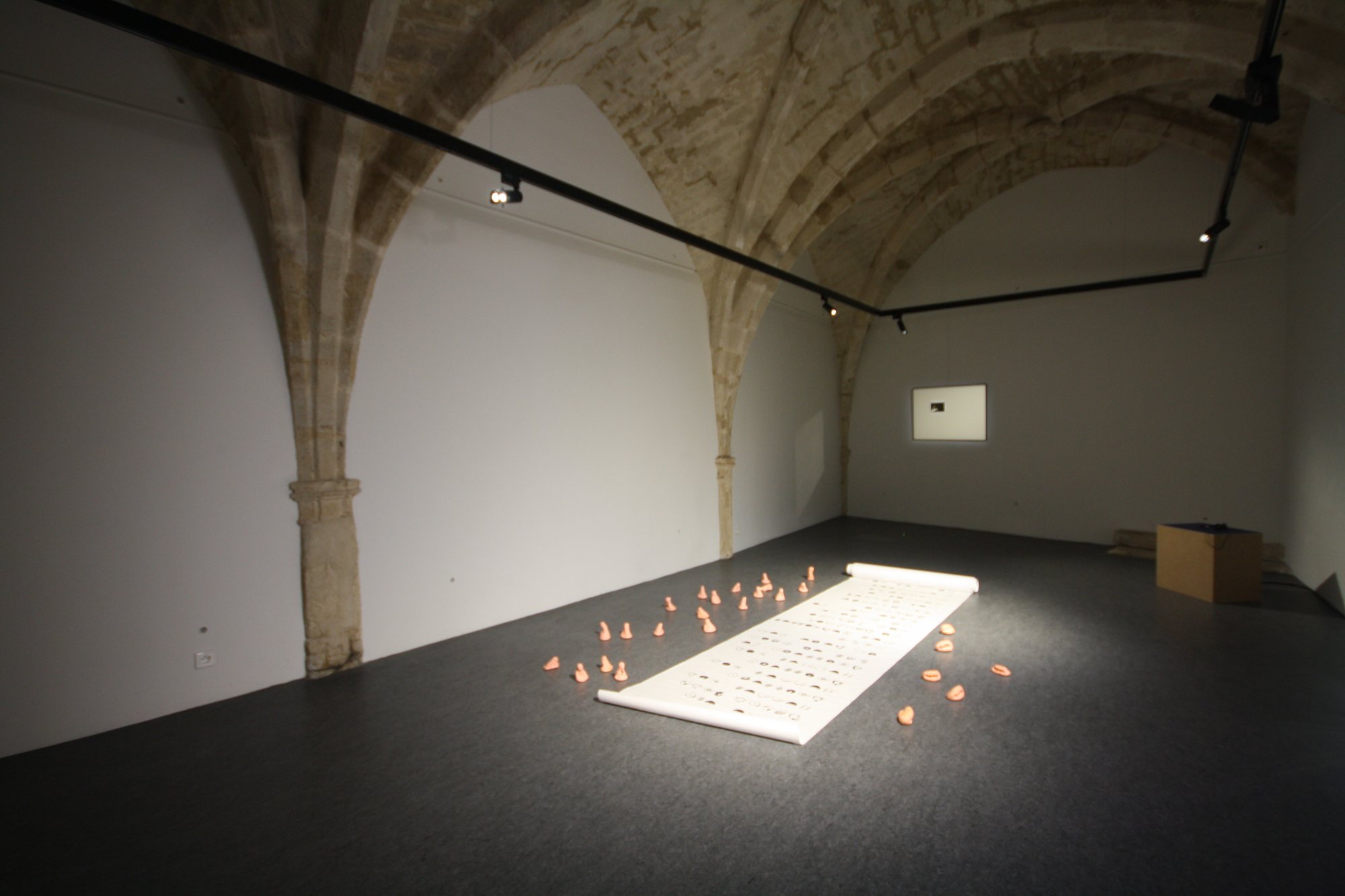 Echoforme, Collectif In Extremis, photo 5