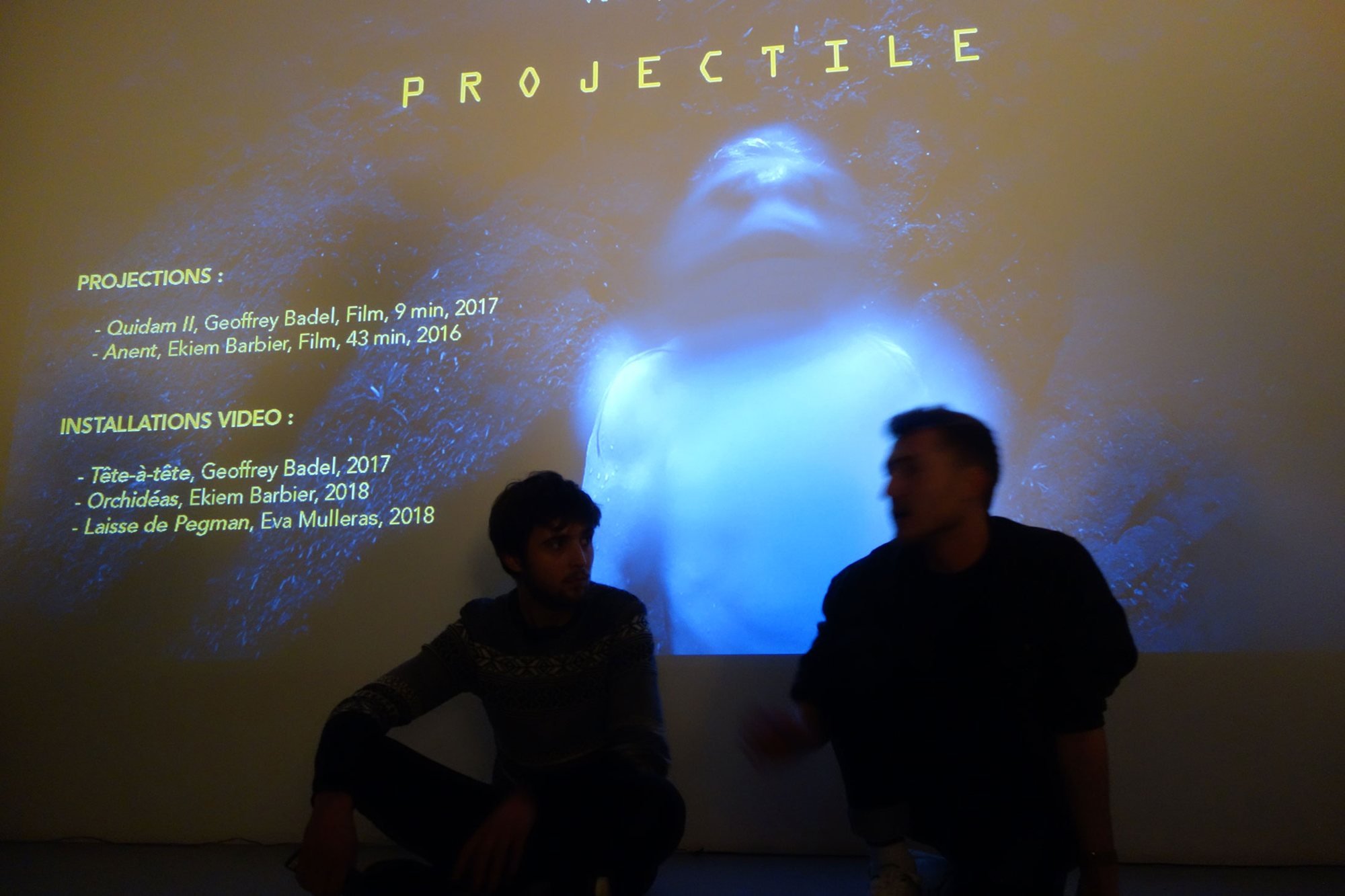 Projectile, Collectif In Extremis, photo 4