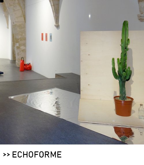 Echoforme, exposition du Collectif In Extremis