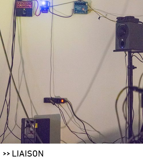 Liaison, exposition du Collectif In Extremis